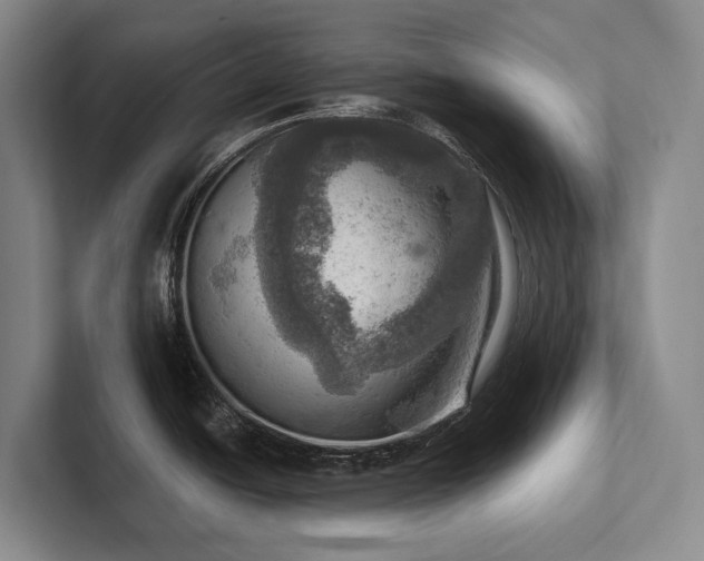 X0000102501438200808081340