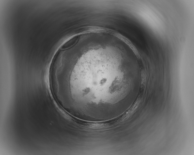 X0000102501439200808081340