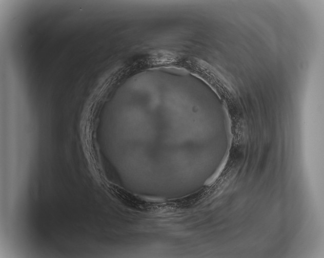 X0000102501441200808081339