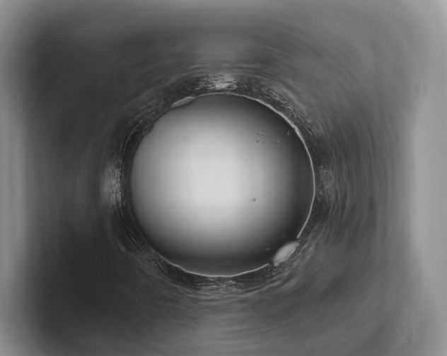 X0000102501442200808081339