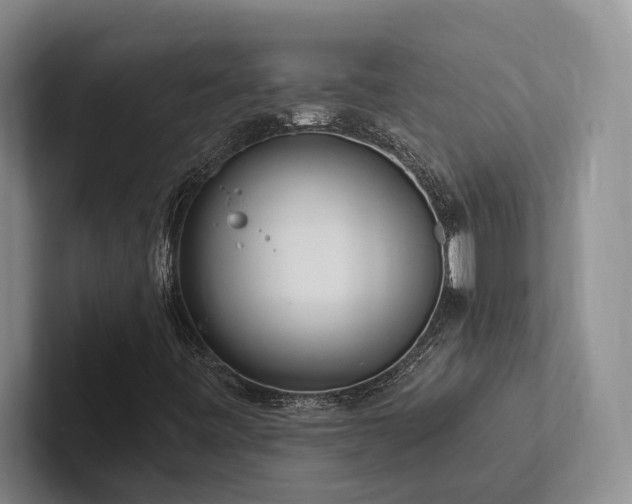 X0000102501443200808081339
