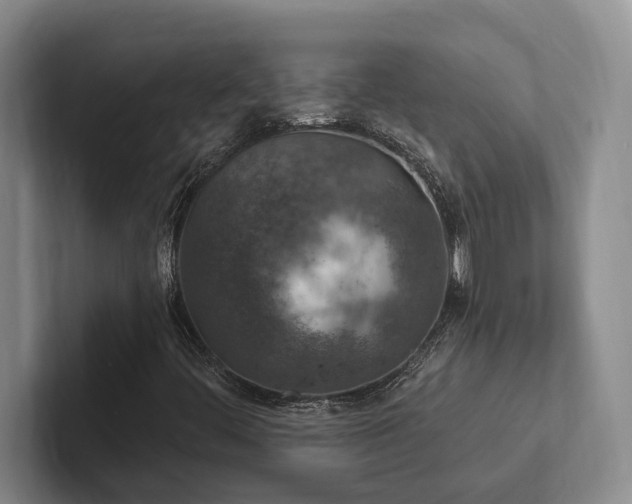 X0000102501444200808081339
