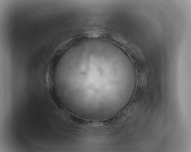 X0000102501446200808081339