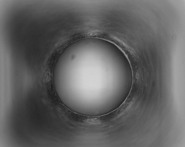 X0000102501447200808081339