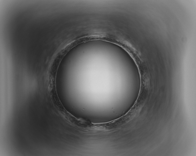X0000102501448200808081339