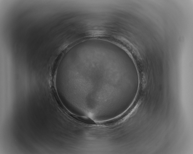 X0000102501449200808081339