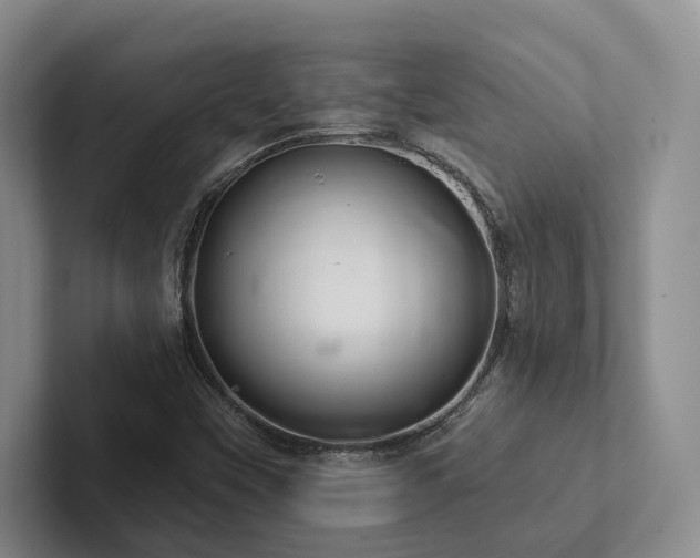 X0000102501451200808081339