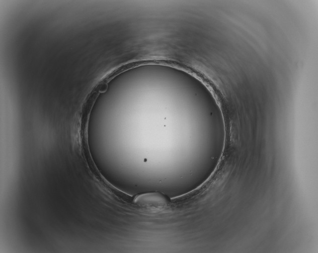 X0000102501452200808081339
