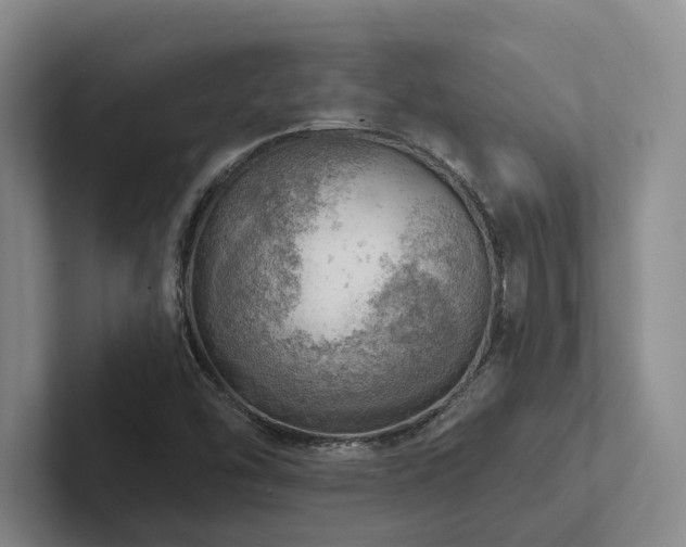 X0000102501454200808081339