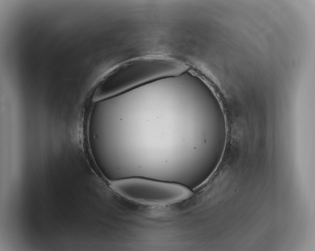 X0000102501456200808081339