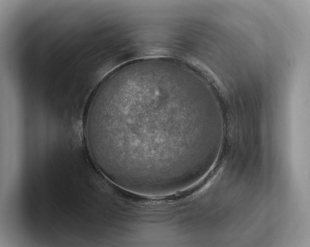 X0000102501457200808081339