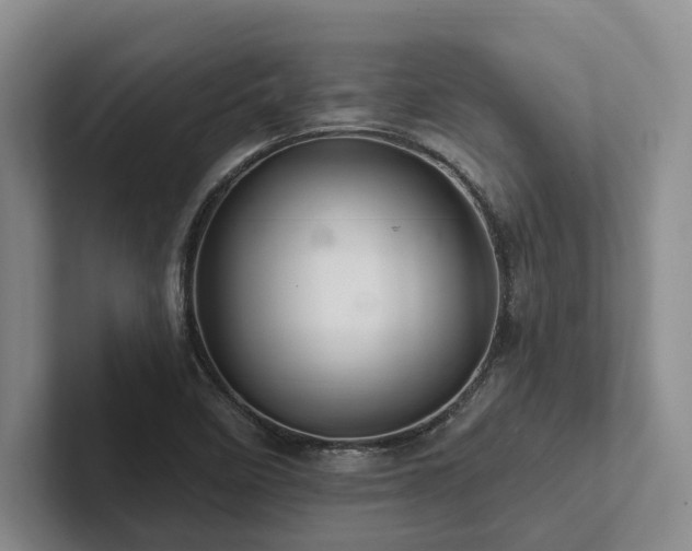 X0000102501458200808081339