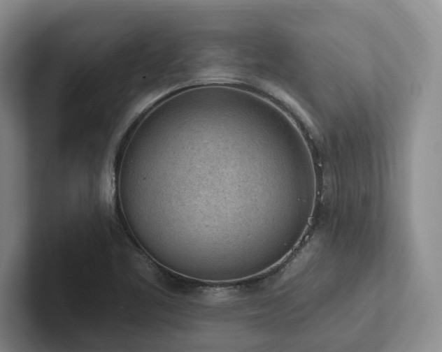 X0000102501461200808081339