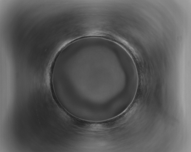 X0000102501463200808081339