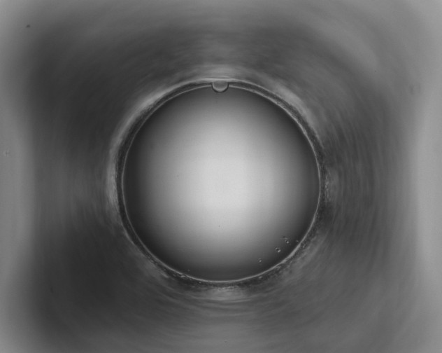 X0000102501464200808081339