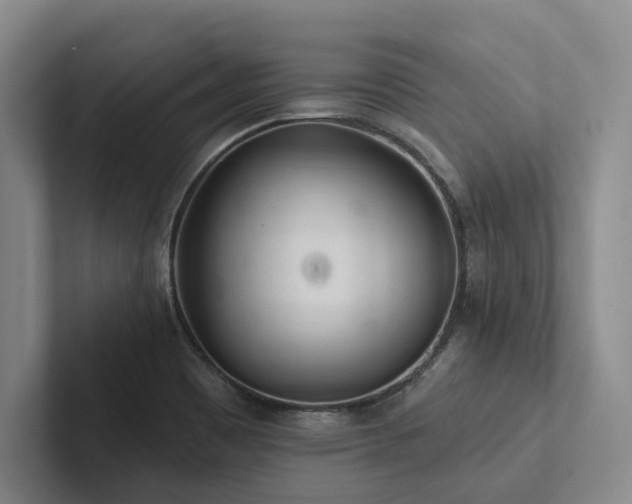 X0000102501465200808081339