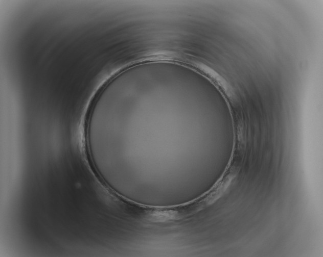 X0000102501466200808081339