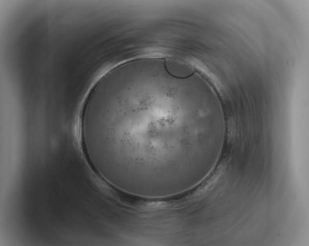 X0000102501467200808081339