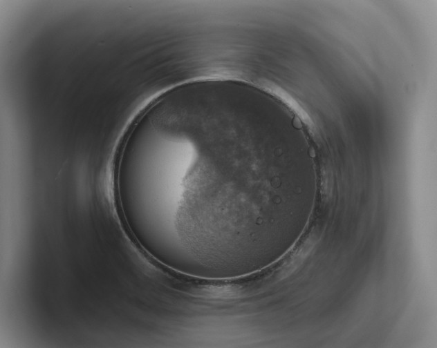 X0000102501468200808081339