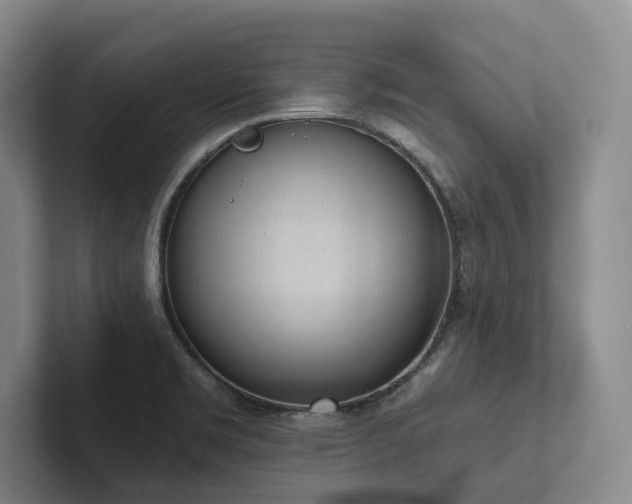 X0000102501469200808081339
