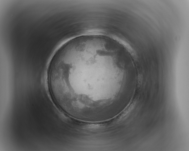 X0000102501470200808081339