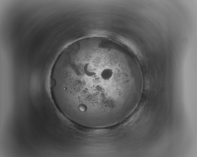 X0000102501471200808081339