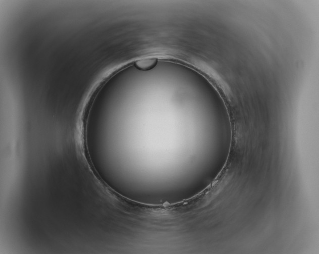 X0000102501472200808081339