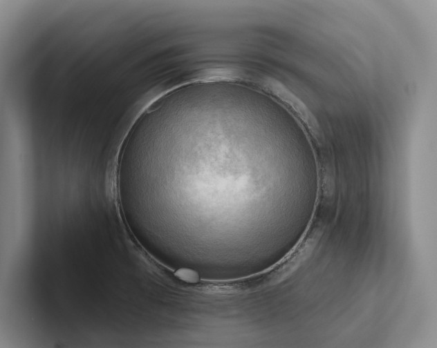 X0000102501473200808081339