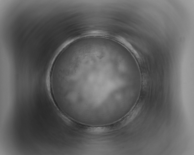 X0000102501474200808081339