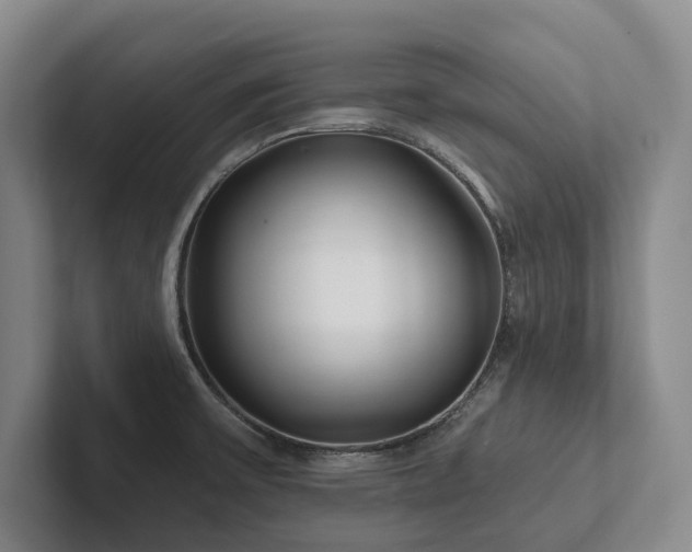 X0000102501475200808081339