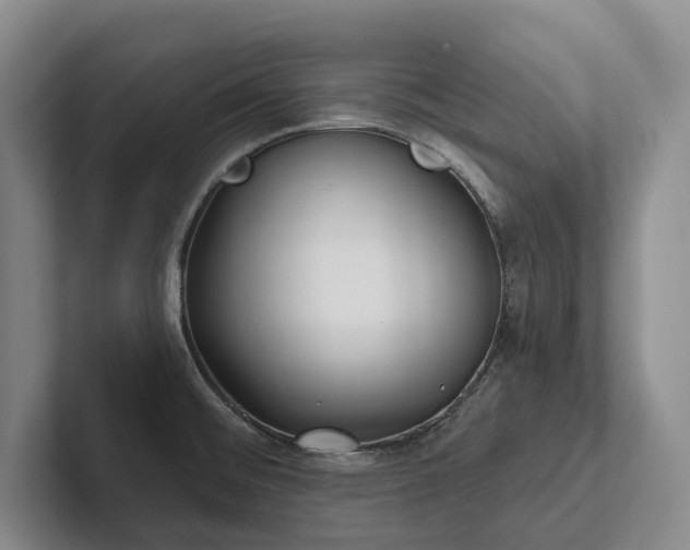 X0000102501476200808081339