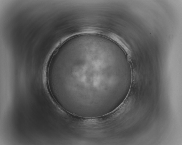 X0000102501477200808081339