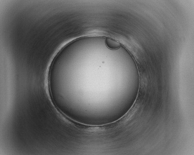 X0000102501478200808081339