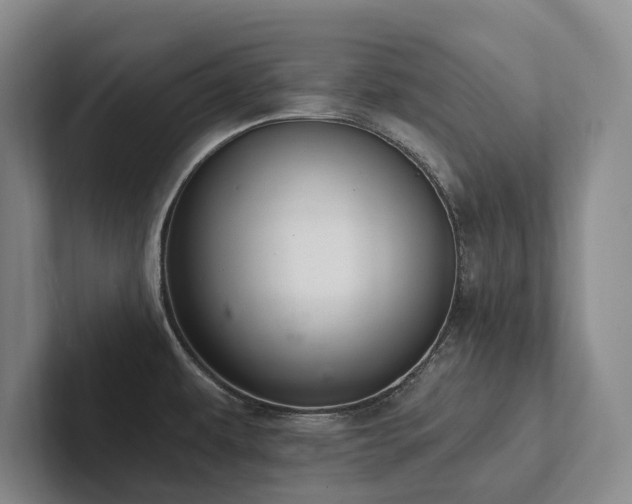 X0000102501479200808081339