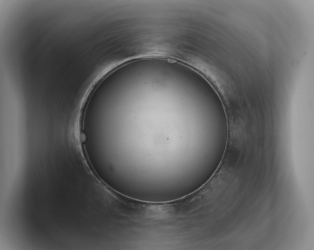 X0000102501480200808081339