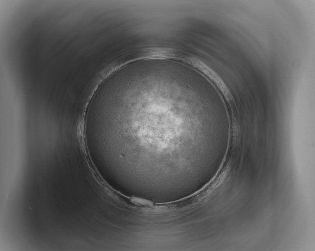 X0000102501481200808081339