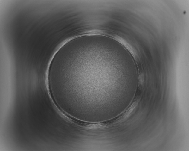 X0000102501482200808081339
