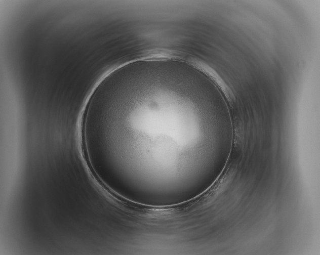 X0000102501483200808081339