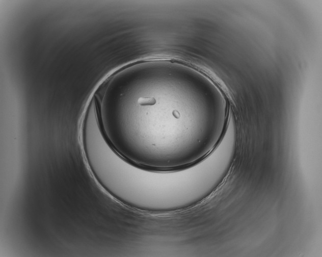 X0000102501484200808081339