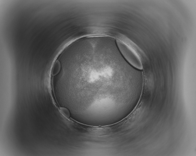 X0000102501485200808081339