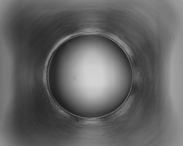 X0000102501486200808081339