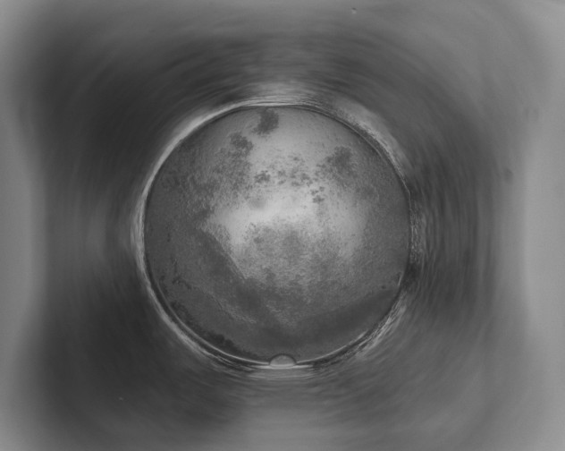 X0000102501487200808081339