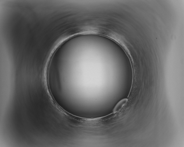 X0000102501488200808081339