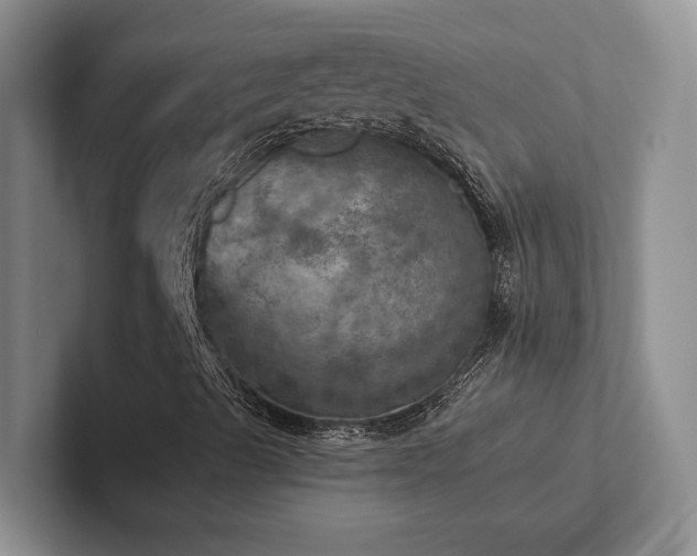 X0000102501489200808081338