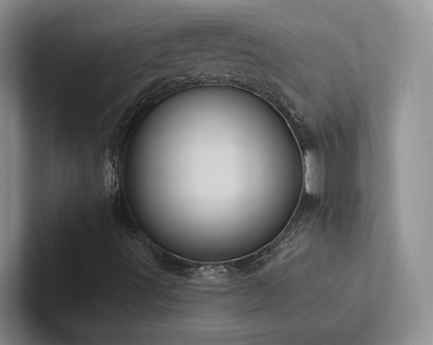 X0000102501491200808081338