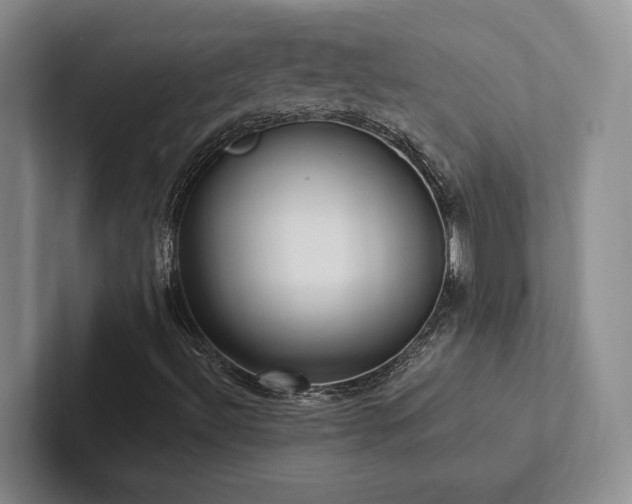 X0000102501492200808081338