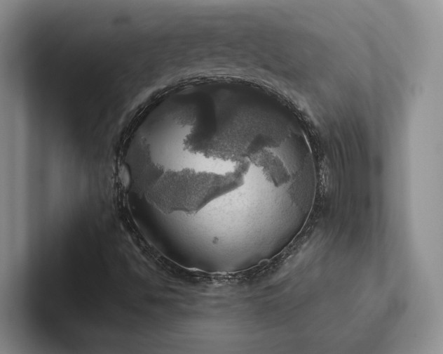 X0000102501494200808081338