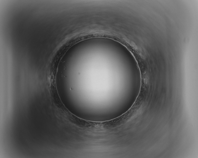X0000102501495200808081338