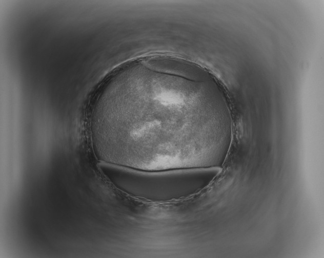 X0000102501496200808081338