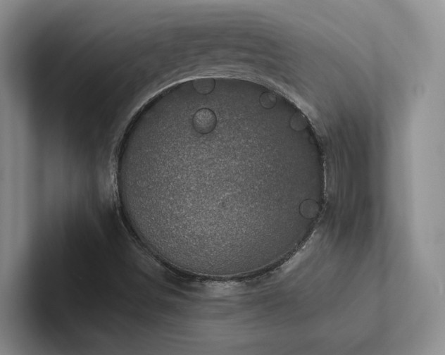 X0000102501498200808081338